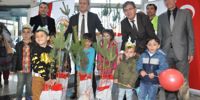 Orman Bölge Müdürlüğünden İlave Fidan Dağıtımı