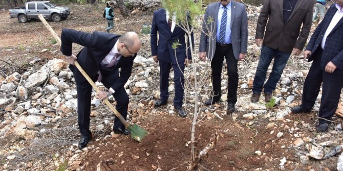 İlk Fidanı Hüküm Verdikleri Mahkumlar Dikti