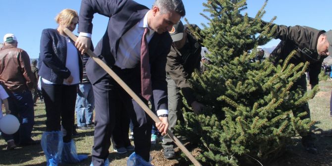 Bolu’da 300 Adet Fidan Dikildi