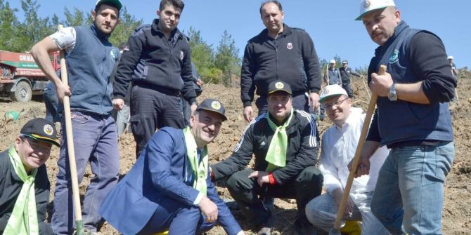 Gemlik’teki Yangının Yaraları Sarılıyor