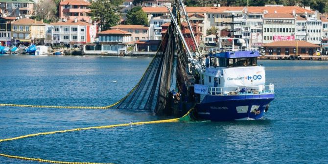 Carrefoursa Balıkta Cirosunu 4 Katına Çıkarmayı Hedefliyor