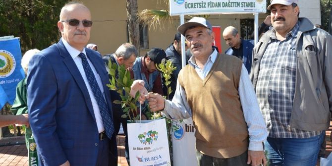Orman Haftasında Fidan Dağıtıldı