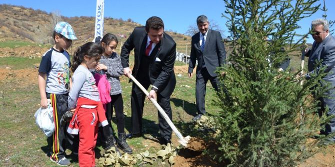 Bozüyük’te Orman Haftası’nda 600 Fidan Toprakla Buluştu