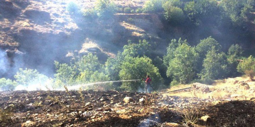 Çalılık Yangını Ağaçlara Sıçramadan Söndürüldü