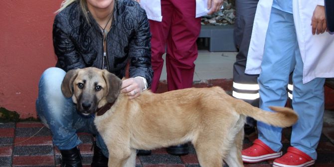 Ölümü İki Kez Yenen ’Kuyu’ Yeni Yuvasında