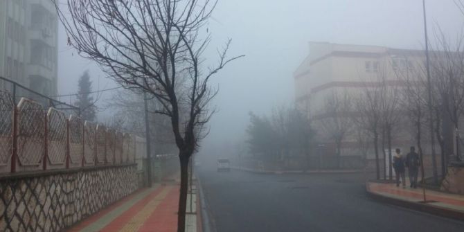 Siirt’te Yoğun Sis