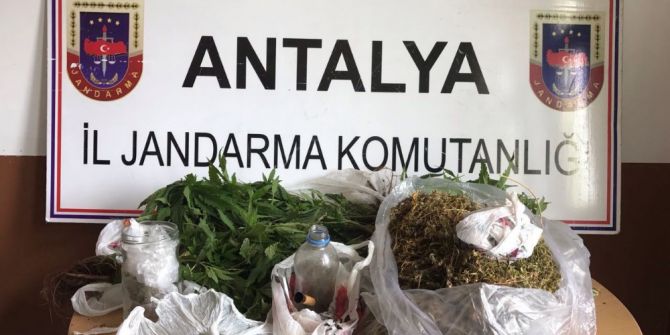 Jandarmadan Uyuşturucu Operasyonu