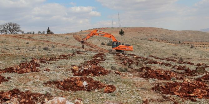Şehitkamil’de Bi Dünya Yeşil Orman Kuruluyor