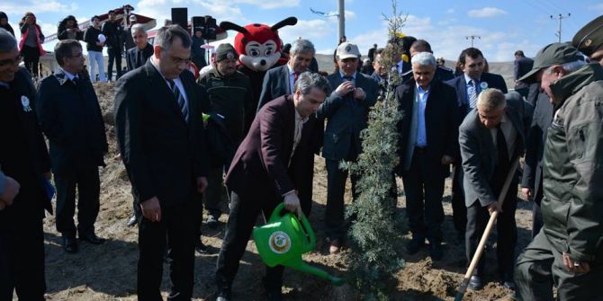 Amasya’da 3 Yılda 30 Milyon Fidan Dikildi