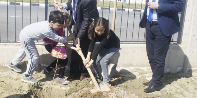 Öğrenciler Hastane Bahçesine Fidan Dikti