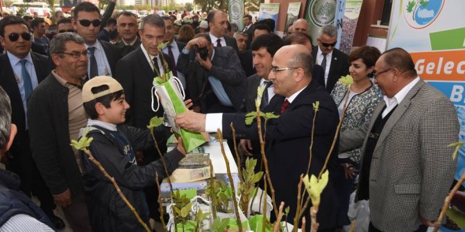 Vali Demirtaş: “2017’de 2 Milyon Fidan Dikmeyi Hedefliyoruz”
