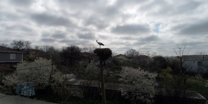 İstanbul’un “Leylekli Köyü” Havadan Görüntülendi