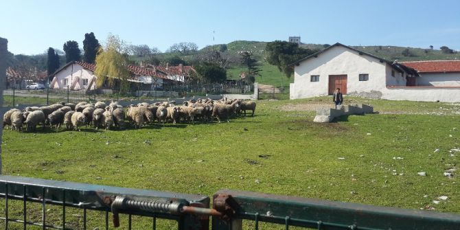 Çobanlara Uygulamalı Eğitim