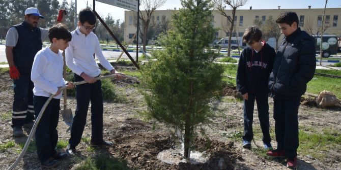 Öğrenciler Harçlıklarıyla Aldıkları Fidanları Toprakla Buluşturdu