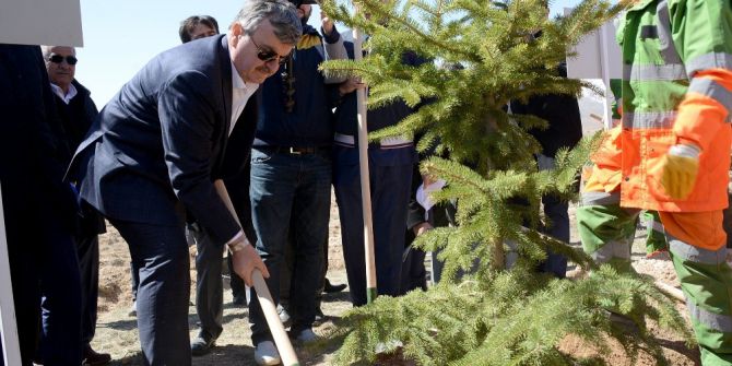 5 Milyon Fidan Toprakla Buluştu