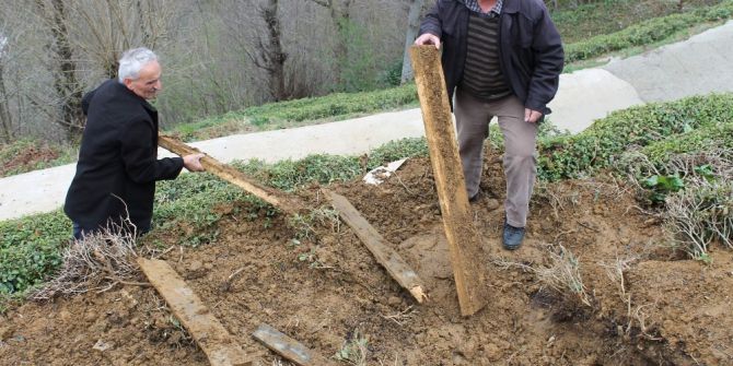 Mezarlıkta Ayı Nöbeti