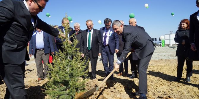 Orman Haftası Ve Ağaç Bayramı, Kastamonu’da Kutlandı