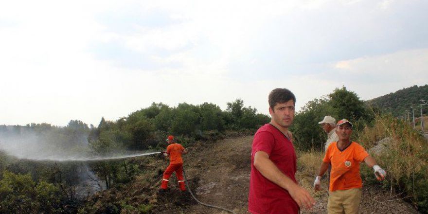 Tavşanlı’da Orman Yangını Kontrol Altına Alındı