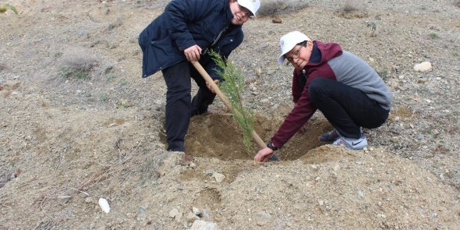 Öğrenciler Yüzlerce Fidanı Toprakla Buluşturdu