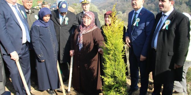 Dikilen 4 Bin Fidanla Şehitlere 4 Bin Fatiha Okunacak