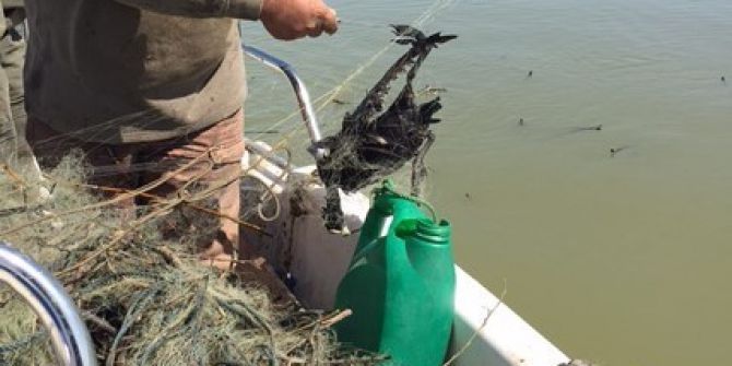 Kuş Cenneti’nde Ürküten Tablo...