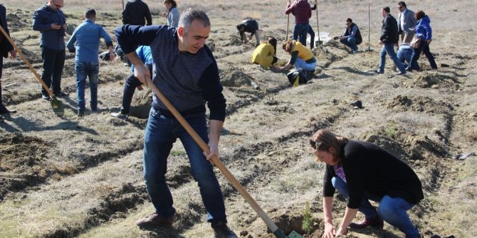 Açıköğretim Sınavlarında Yok Olan Her Bir Ağaç İçin Harekete Geçildi