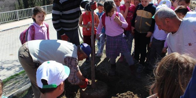Orman Haftası Vezirhan’da Ağaç Dikilerek Kutlandı
