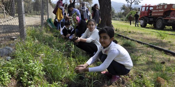 Öğrenciler Ağaç Müzesi’ne Fidan Dikti
