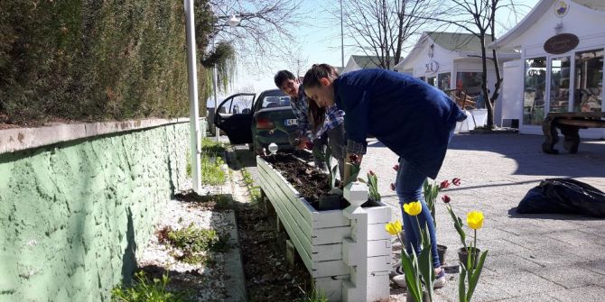 Sapanca Sanat Sokağına Öğrenciler Lale Dikti
