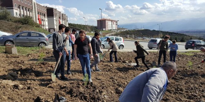 Öğrencilerden Çevre Duyarlılığına Yönelik Örnek Çalışma