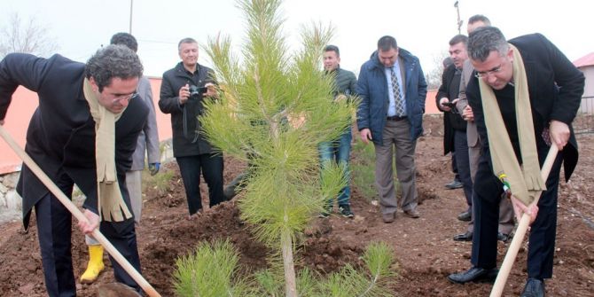 21 Mart Dünya Ormancılık Günü Ve Orman Haftası