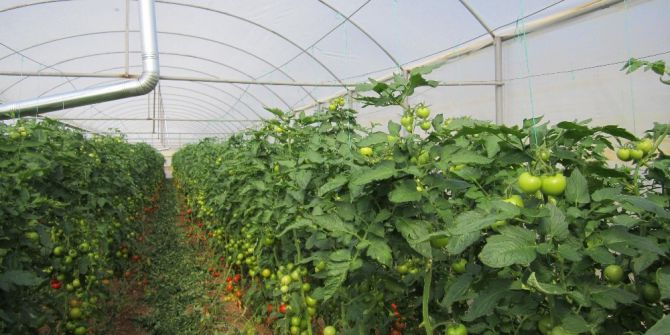 Orman Ve Su İşleri Bakanlığı Orman Köylülerine Desteğini Sürdürüyor