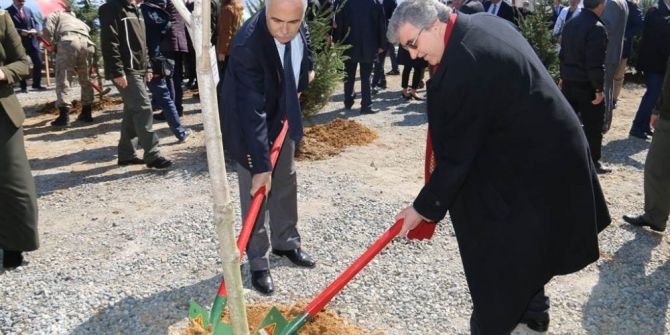 Giresun’da Orman Haftası Etkinlikleri
