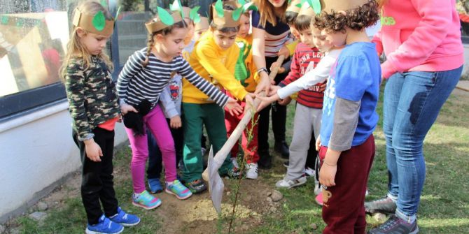 Minik Eller Fidan Dikti