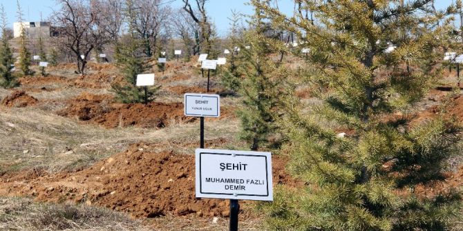 Her 15 Temmuz Şehidi İçin Bir Fidan Dikildi