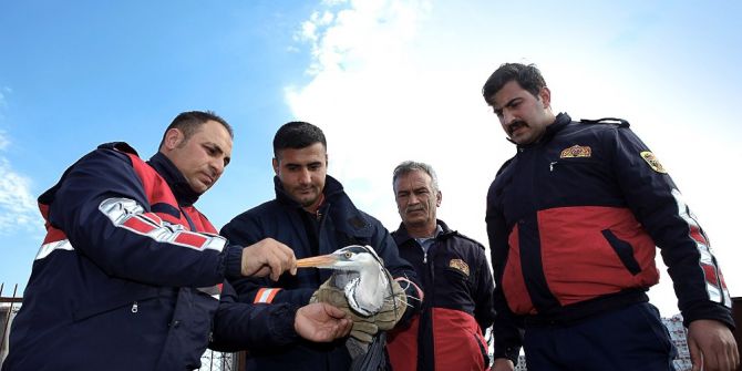 Yaralı Gri Balıkçılı İtfaiye Kurtardı