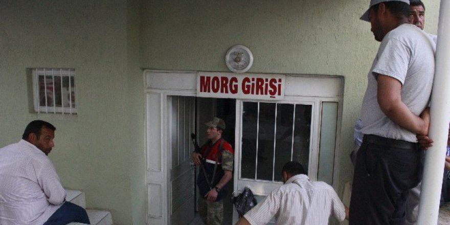 Ceylanpınar’da Arazide Erkek Cesedi Bulundu