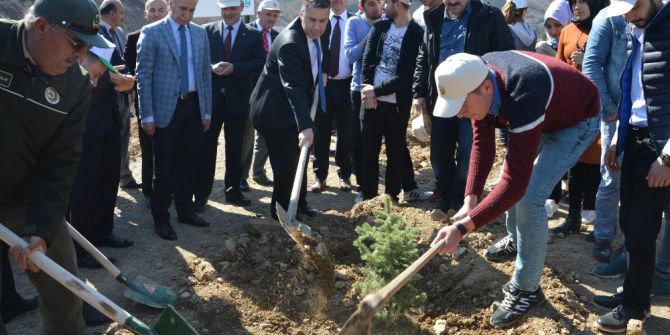 Niksar’da Öğrenciler Fidan Dikti