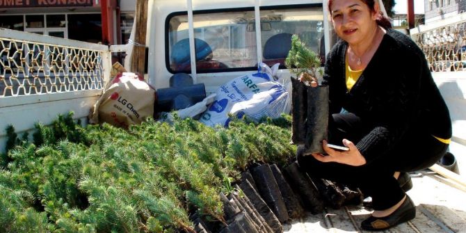 Ak Parti’li Kadınlar Hem Fidan Dağıttı Hem Broşür