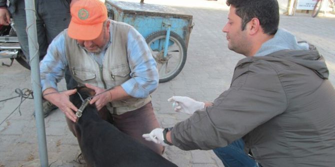 Biga’da Av Köpekleri Aşılandı