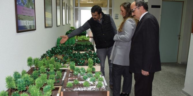 Düzce Üniversitesinde Doğa Ve Bilim Sergisi