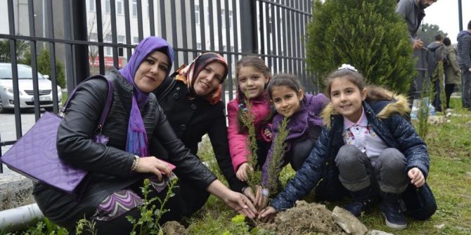 Öğrenciler Fidan Dikti