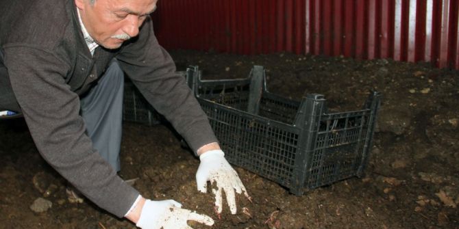 120 Bin Solucanla Başladı Bugün 15 Milyon Solucanı İle Organik Gübre Üretiyor