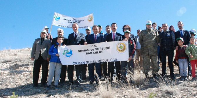 Gürün’de Fidanlar Toprakla Buluştu