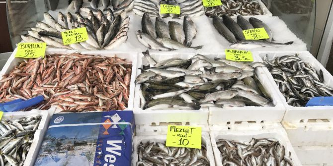 Mevsimin Yenecek Balığı Barbun