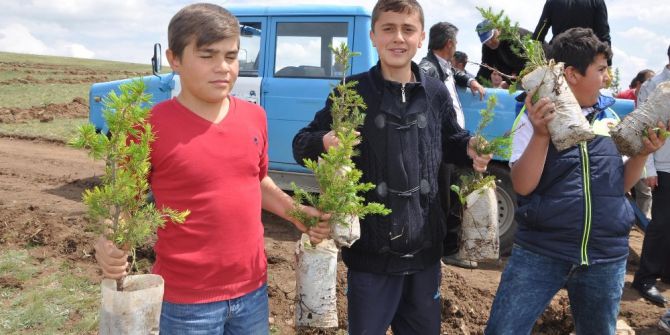 Sorgun’da Bin 500 Fidan Toprakla Buluştu
