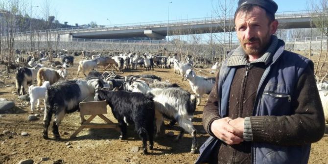 Her Şey 6 Yıl Önce 60 Küçükbaş Hayvan İle Başladı