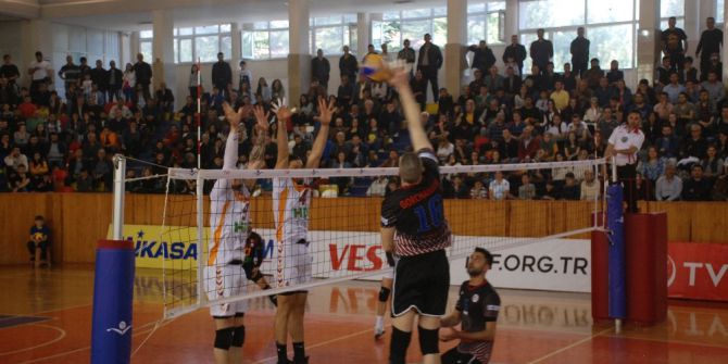 Voleybol Efeler Ligi