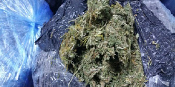 Ankara’da 13 Kilogram Esrar Maddesi Ele Geçirildi