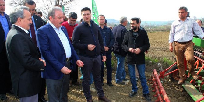Sezonun İlk Kinoa Ekimi Tekirdağ’da Gerçekleştirildi